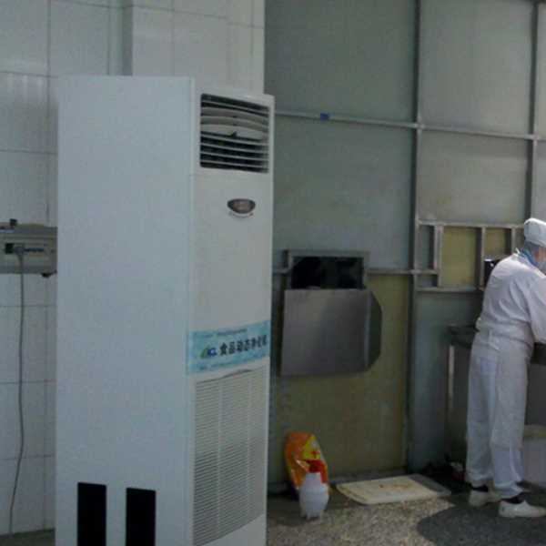 嘉定食品正负离子空气杀菌器